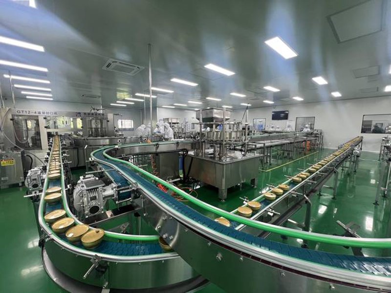 食品研发新潮流：探索创新的力量